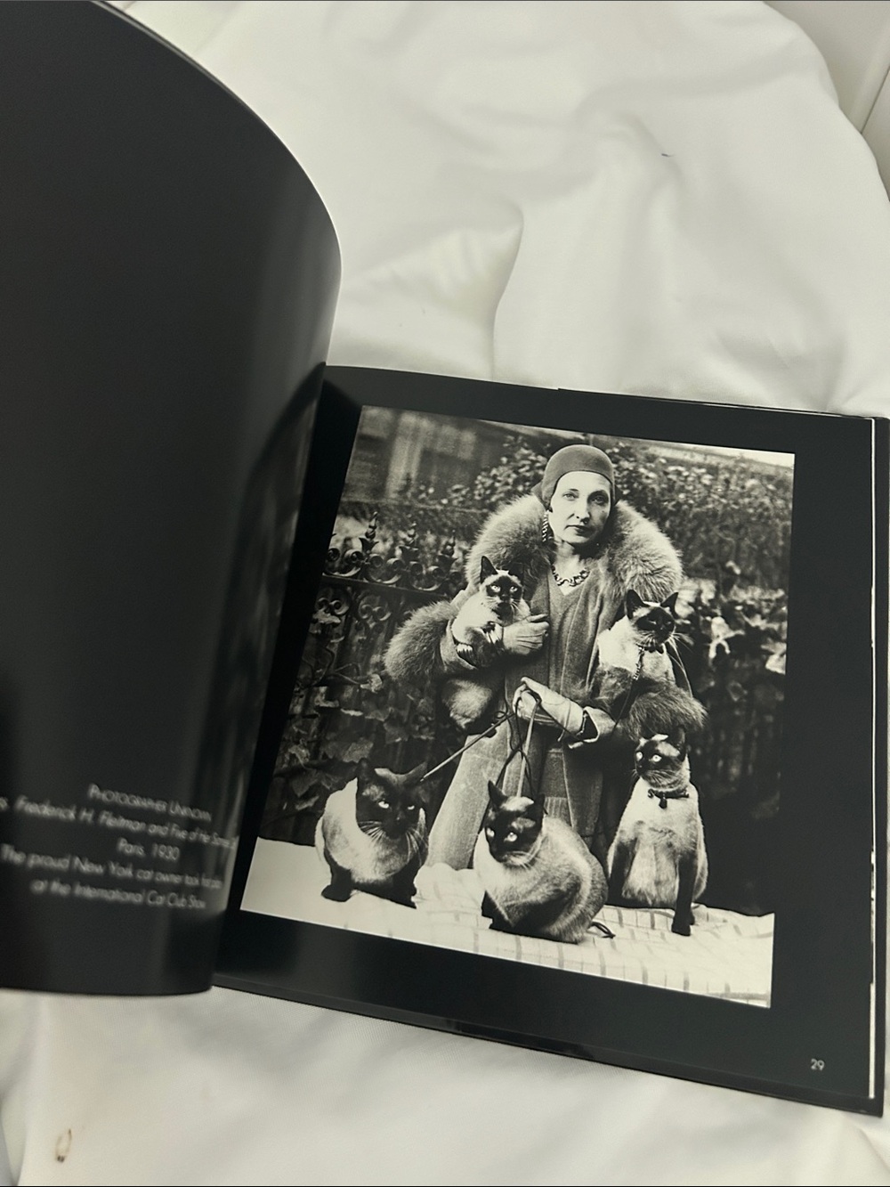 City Cats 90s Hardcover Photo Book Jean-Claude Suarès Italy vintage cat pictures - Picture 15 of 17